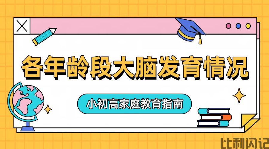 各年龄段大脑的发育情况